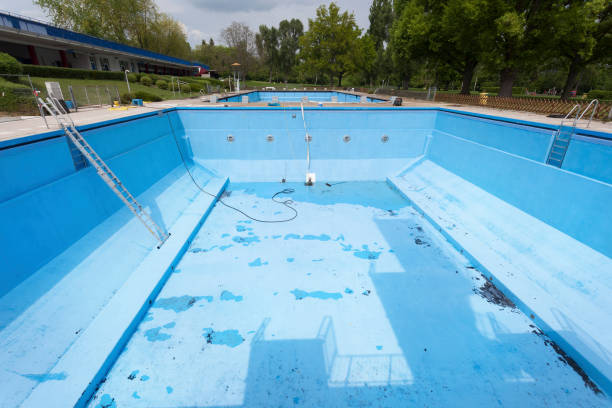 Best 24-hour water damage restoration  in Forestville, MD