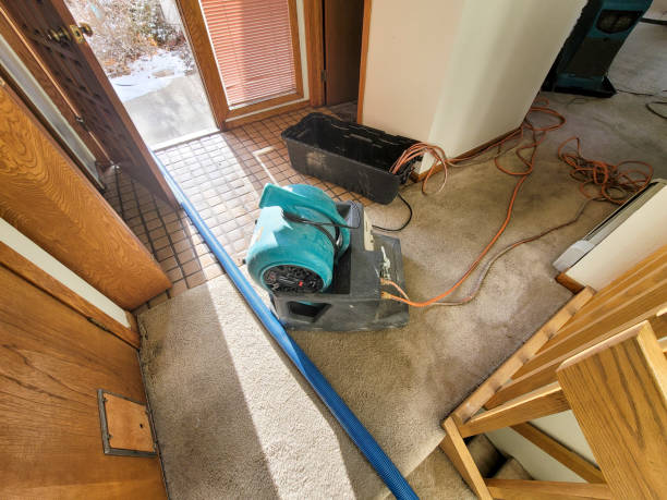 Best Water damage restoration near me  in Forestville, MD